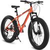 S26109 Elecony 26 Inch Fat Tire Bike Adult/Youth Full Shimano 21 Speed Mountain Bike, Dual Disc Brake, High-Carbon Steel Frame, Front Suspension